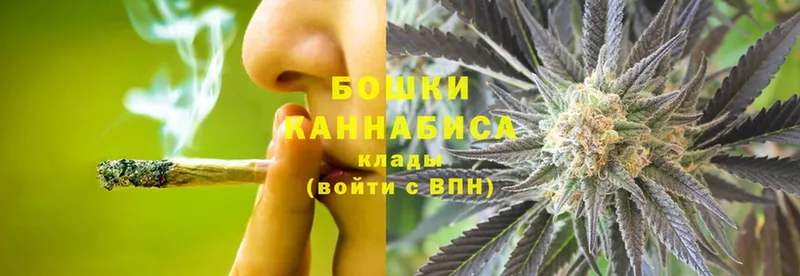 Шишки марихуана White Widow  купить   площадка клад  Горняк  МЕГА ссылки 